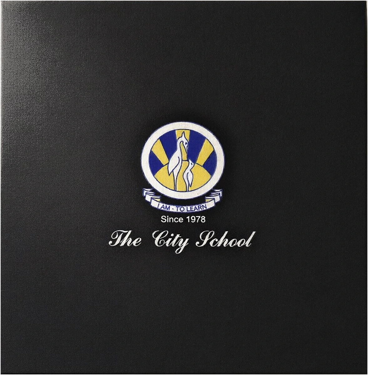 The City School: A fitted box, and all it carries, photographed lid